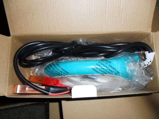 12V Gleichstrom-Elektro-Eisen und Spray-Eisen Die ultimative Bügeleisenlösung