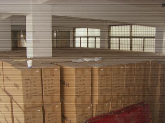 220 V Stromversorgung Elektrogeisler mit 100 ml Wasserbehälter